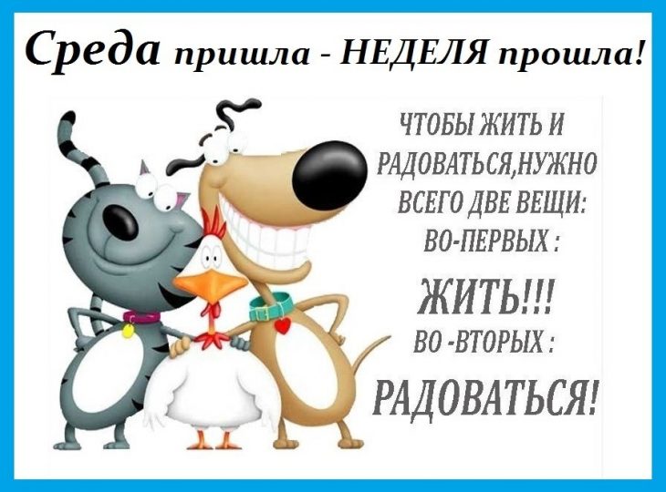 Открытки